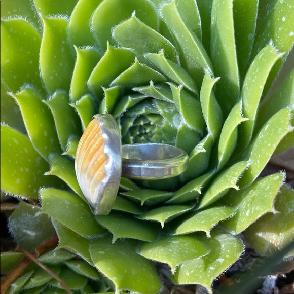 Sunrise Shell Ring - Picture 3 of 6